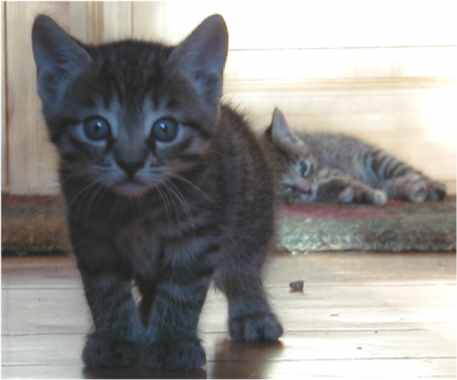 S&aring; er den fort&aelig;lling slut for i dag *S*